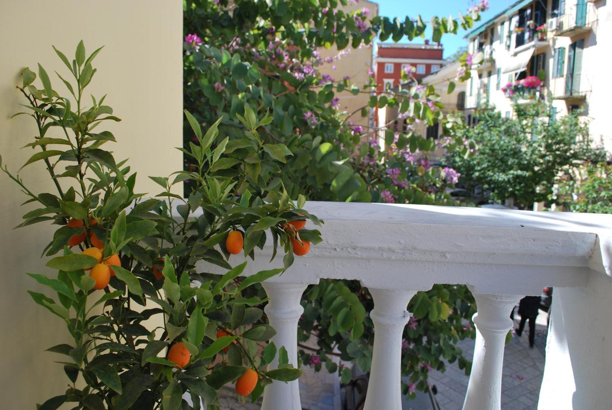 Lilliput Studio Corfu Old Town Dış mekan fotoğraf